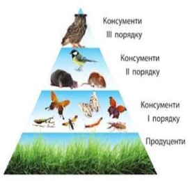 Описание: https://uahistory.co/pidruchniki/zadorozhnij-biology-deep-level-9-class-2022/zadorozhnij-biology-deep-level-9-class-2022.files/image256.jpg